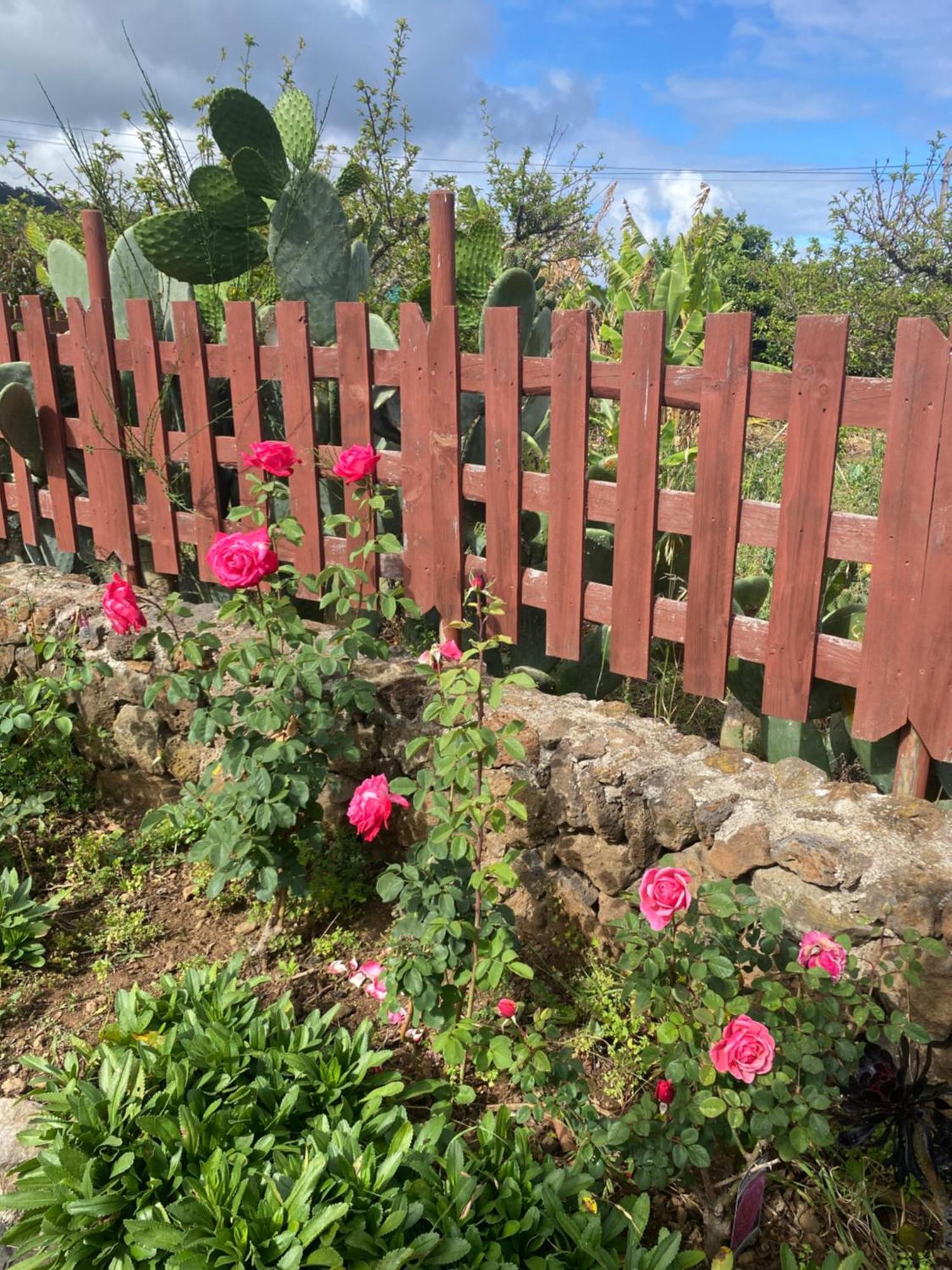 Rural House To Take A Break, La Serreria 25 - Private Garden Такоронте Екстериор снимка