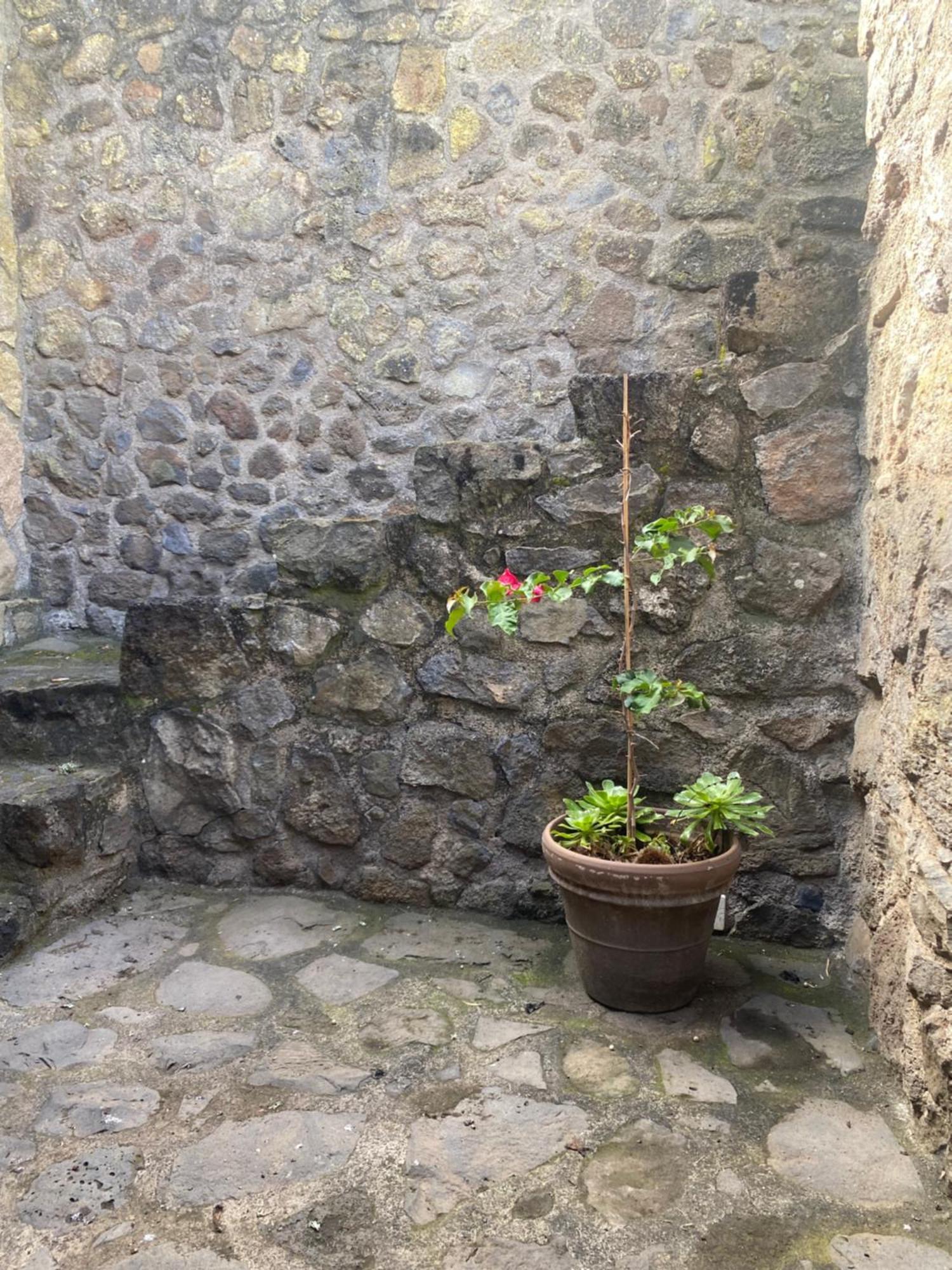 Rural House To Take A Break, La Serreria 25 - Private Garden Такоронте Екстериор снимка