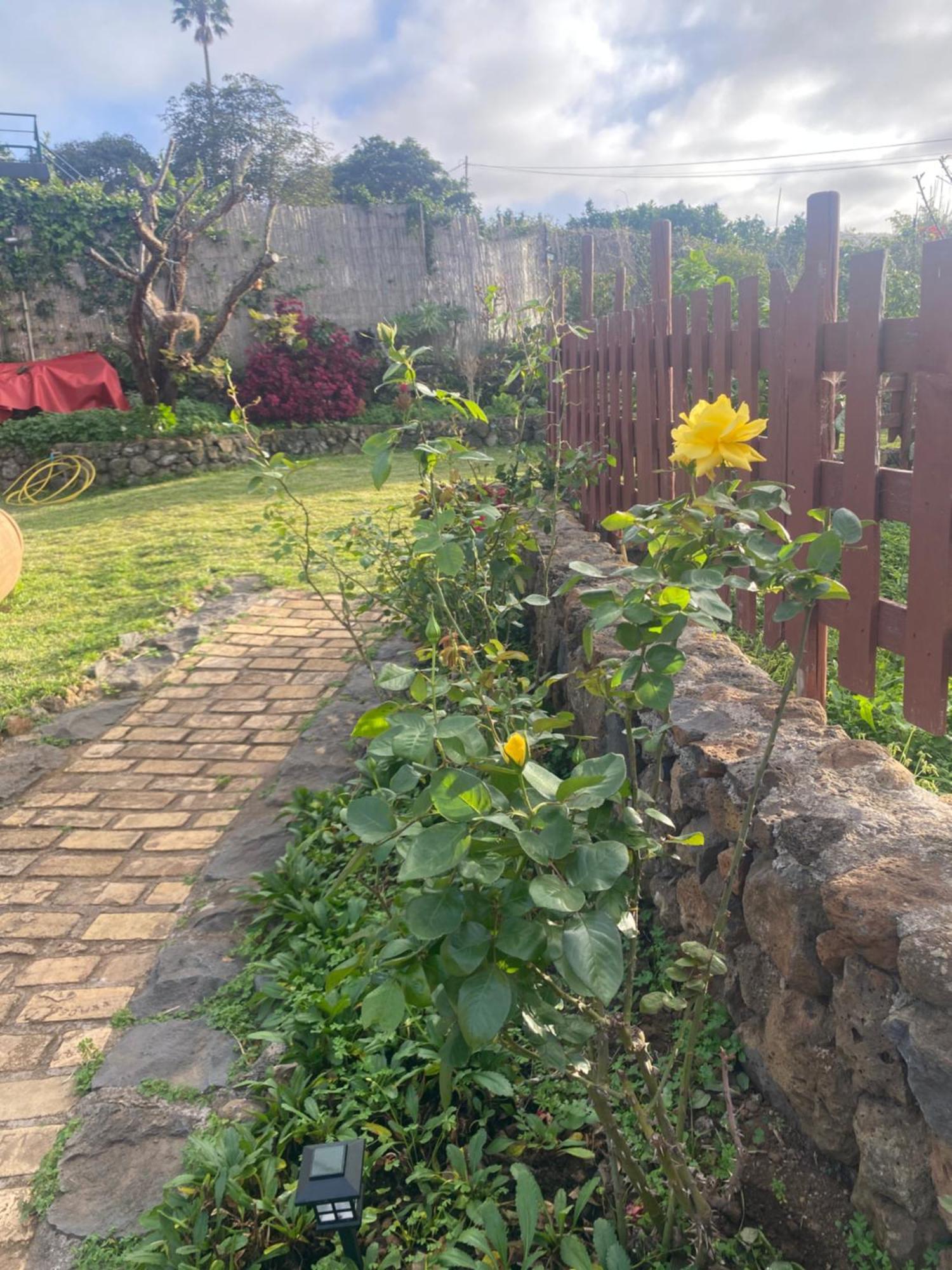 Rural House To Take A Break, La Serreria 25 - Private Garden Такоронте Екстериор снимка